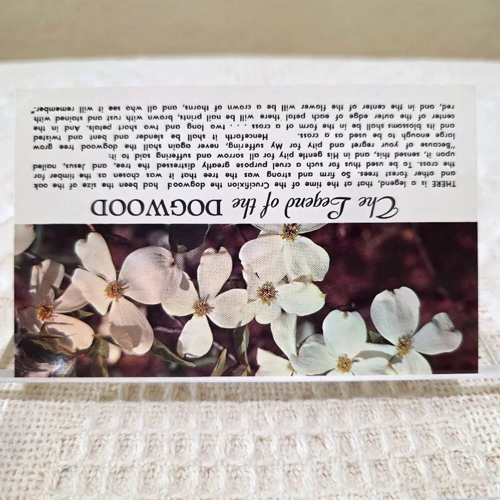Vintage The Legend of the Dogwood Flower Religion Religious Story Postcard UNP